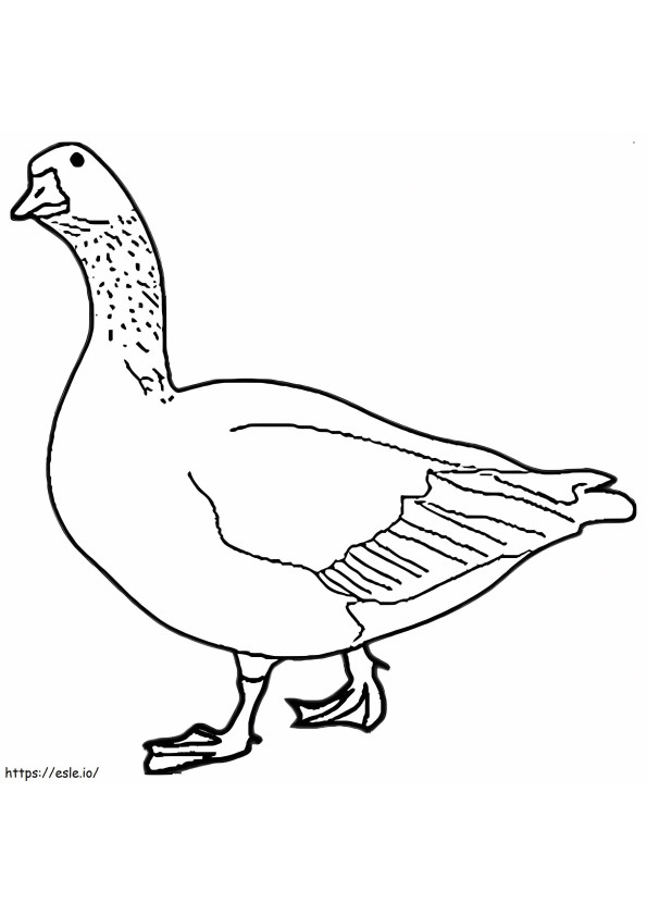 Cute Goose coloring page