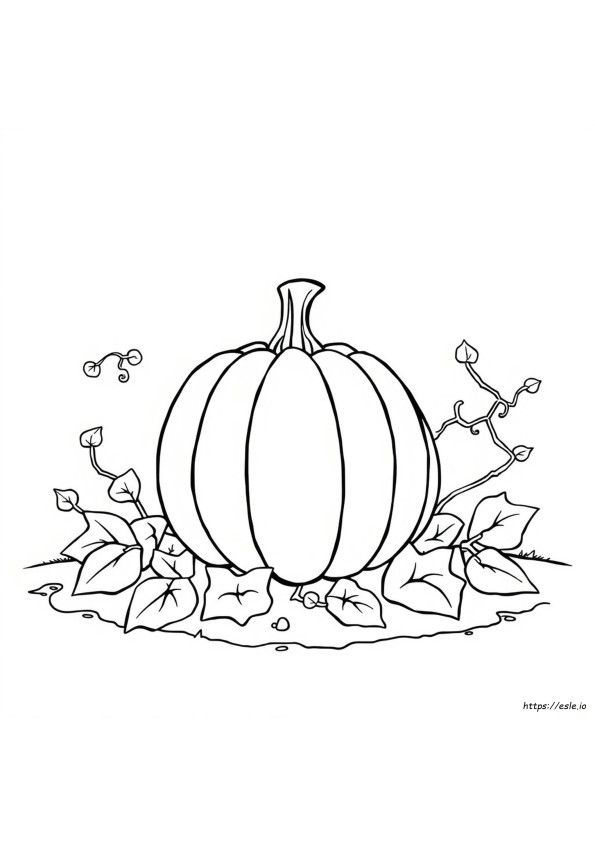 Coloriage Citrouille À Imprimer