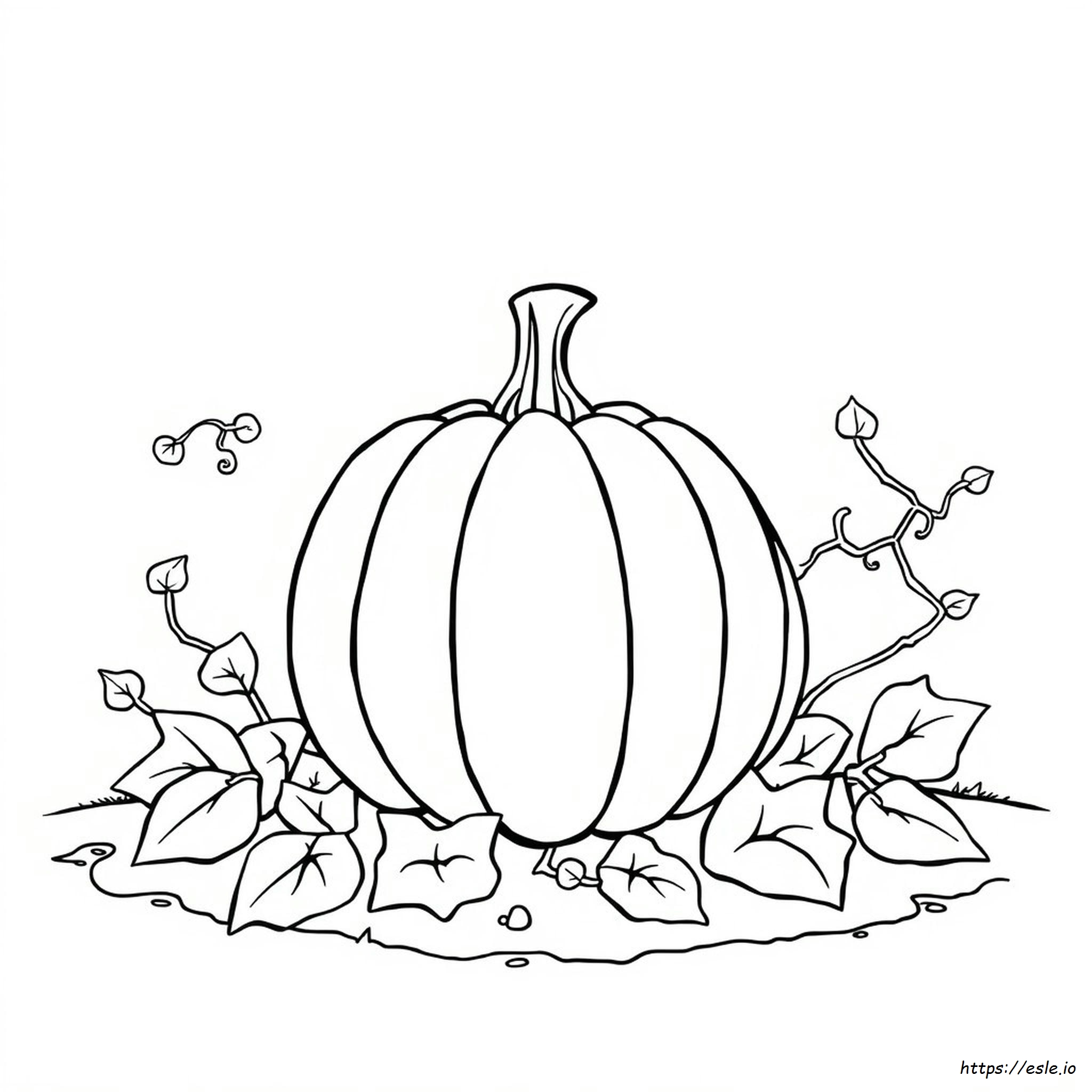 Printable Pumpkin Colouring Pages