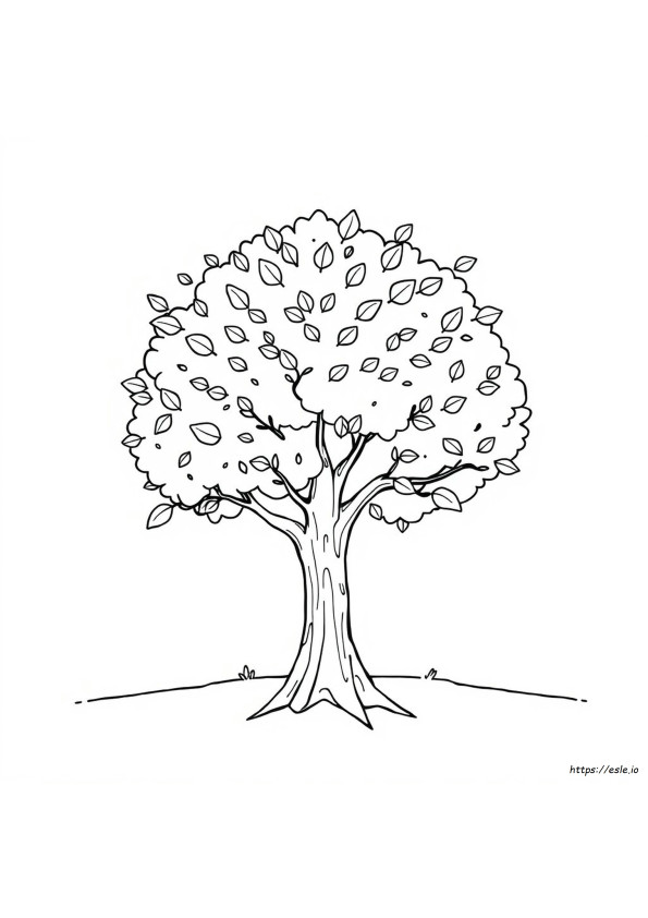 Gambar Mewarnai Musim