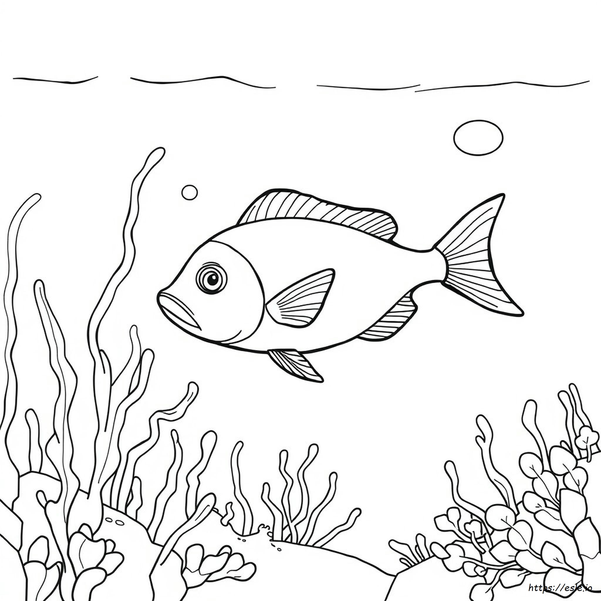 Pesce Da Colorare