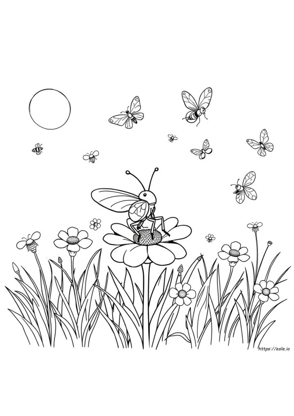 Disegni Di Insetti Da Colorare E Stampare Gratis