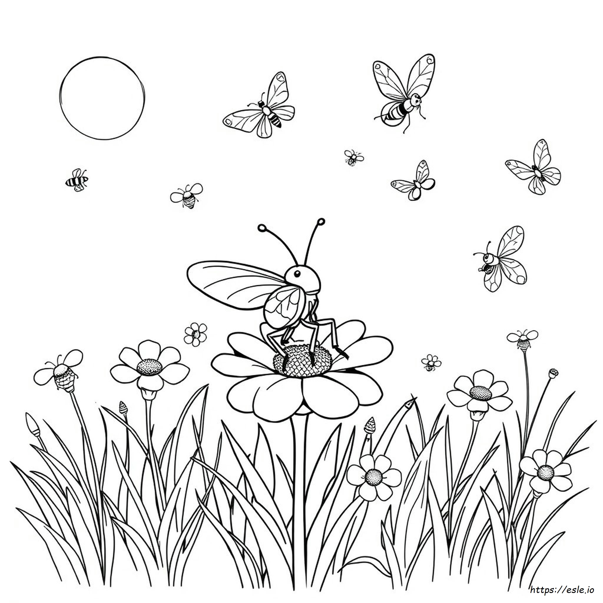 Disegni Di Insetti Da Colorare E Stampare Gratis