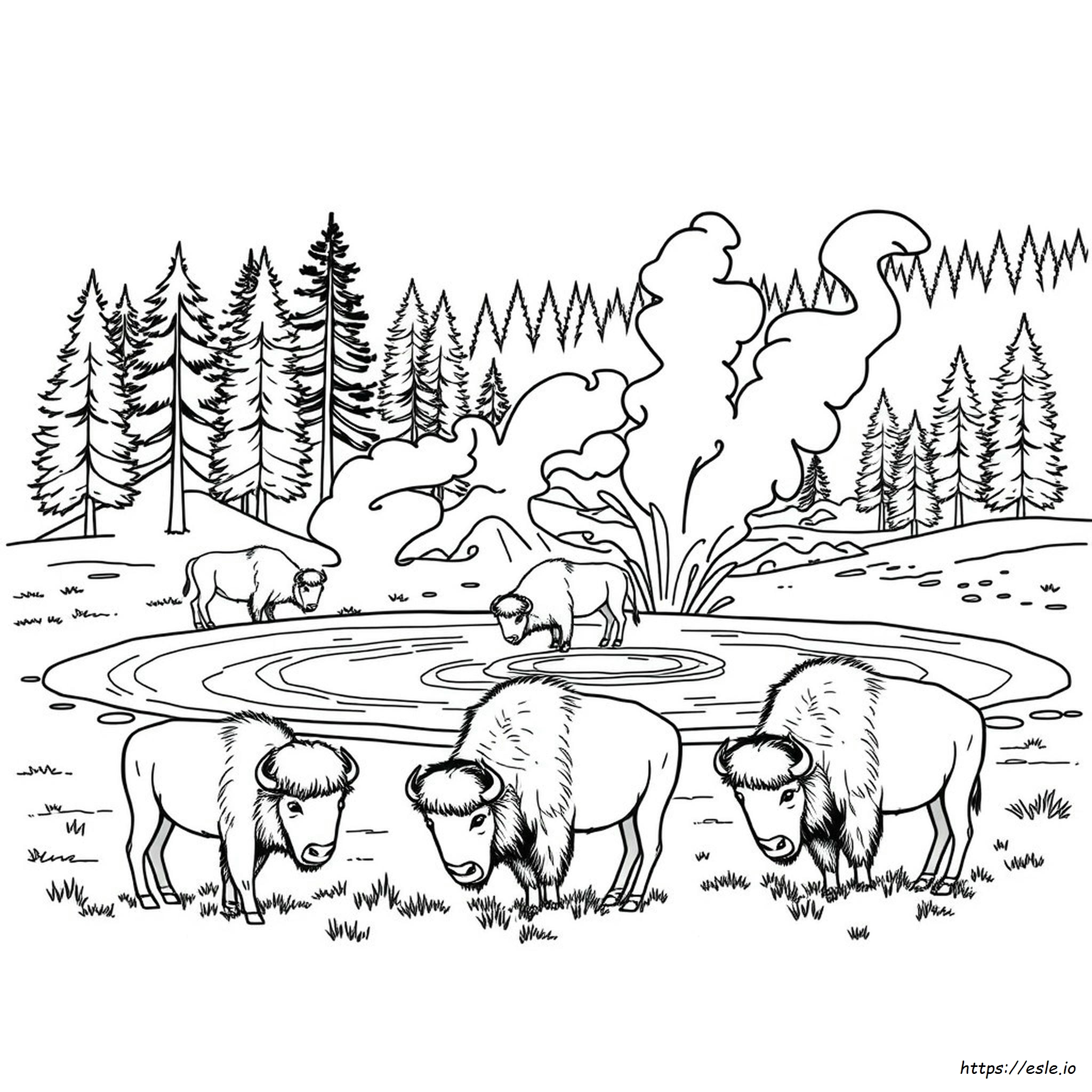 Pagine Da Colorare Yellowstone