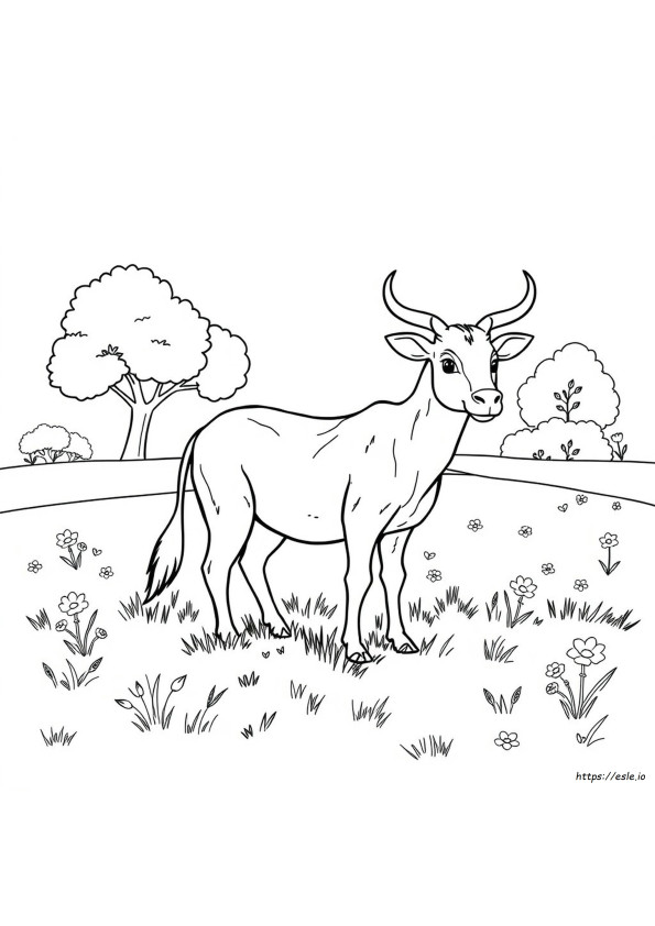Gambar Mewarnai Hewan Rinci