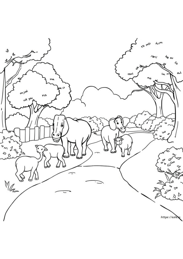 Desene De Colorat Cu Animale De La Zoo