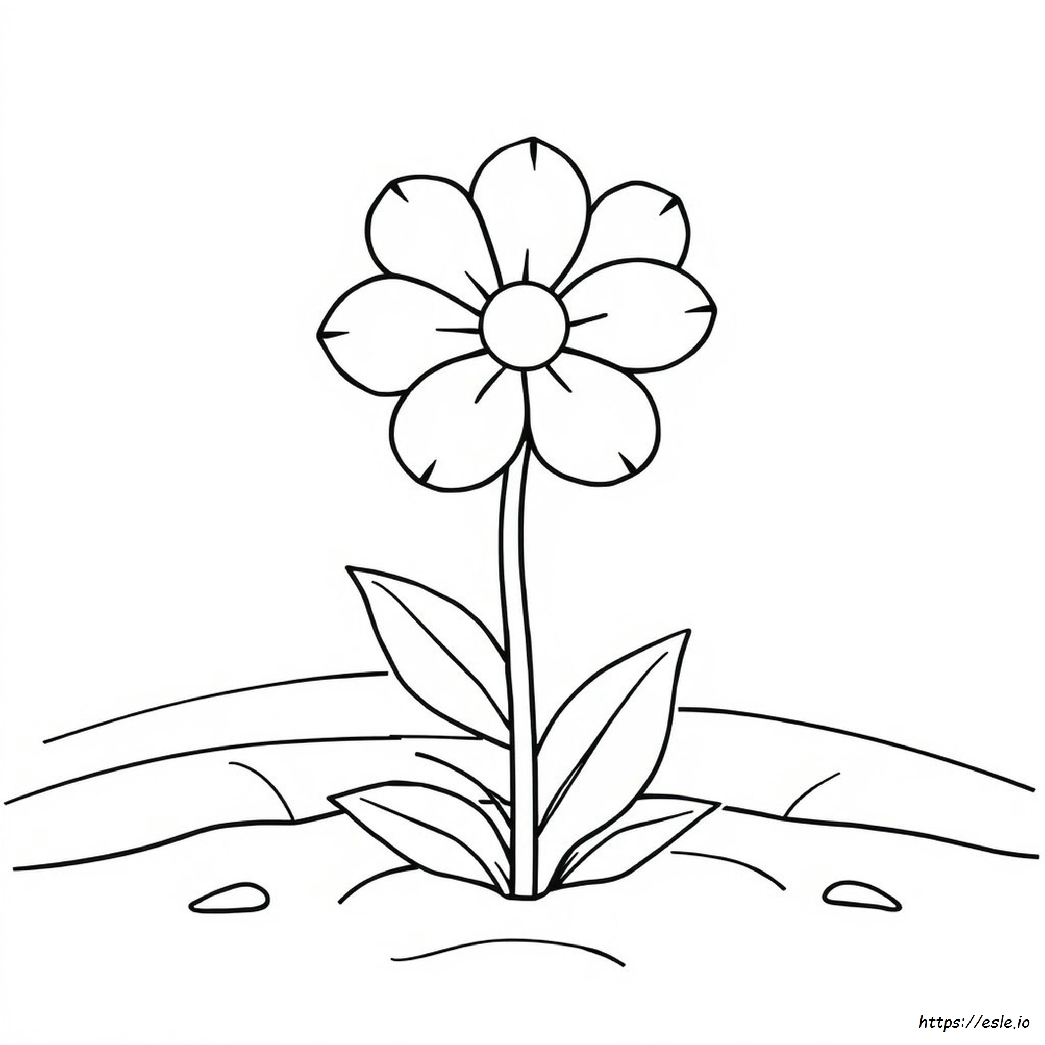 Imágenes De Contorno De Flores Para Colorear