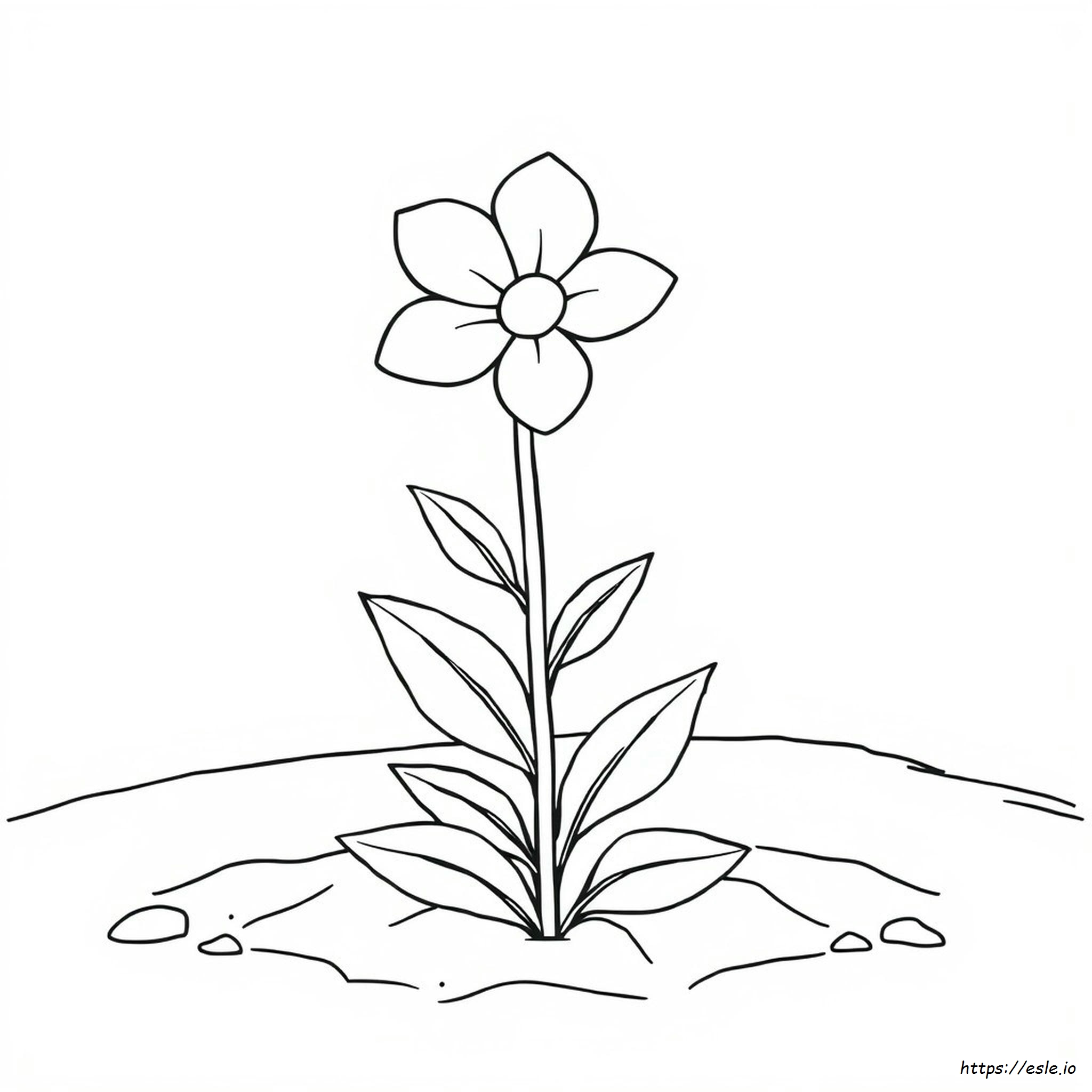 Printable Botanical Coloring Pages