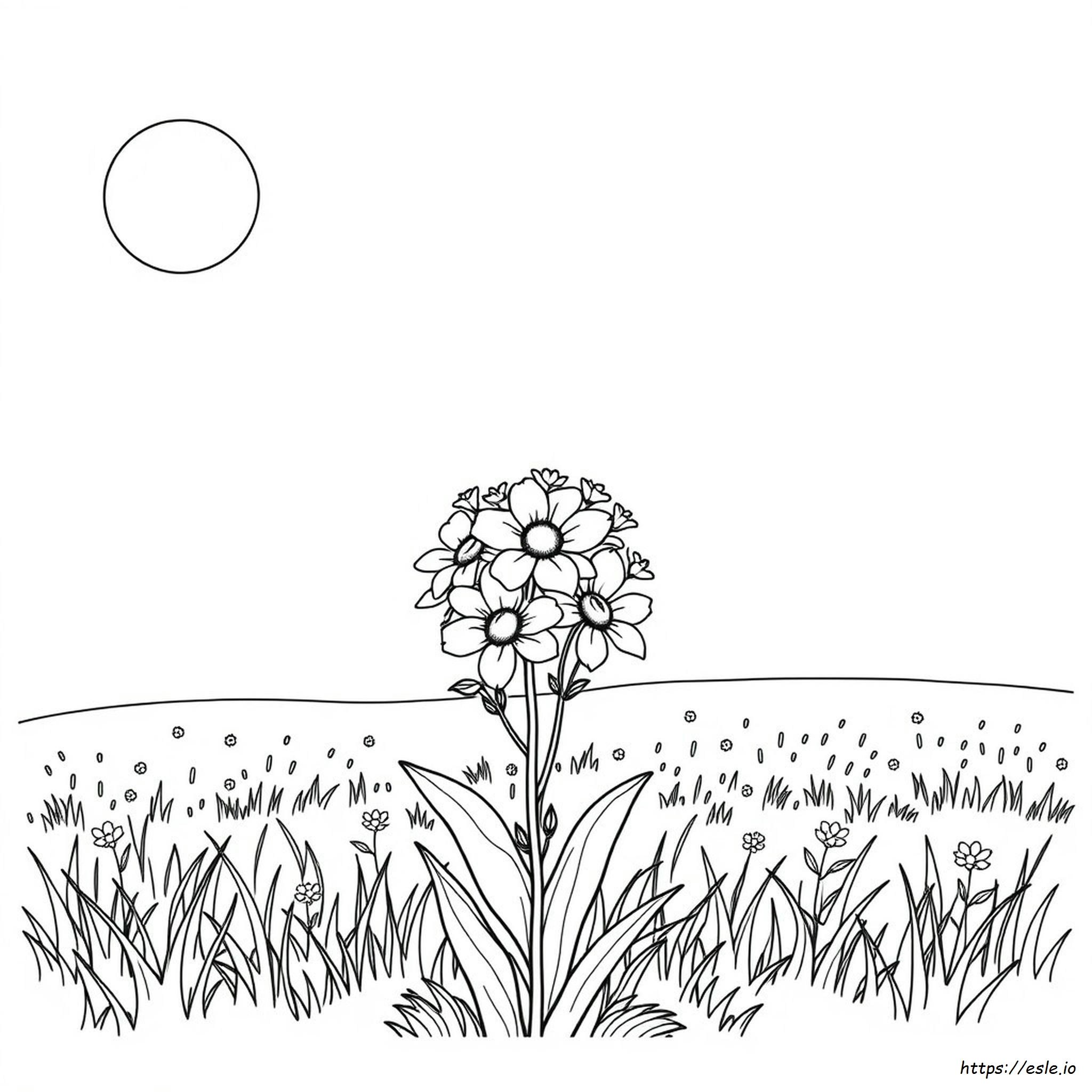 Flores Para Colorear Imprimibles
