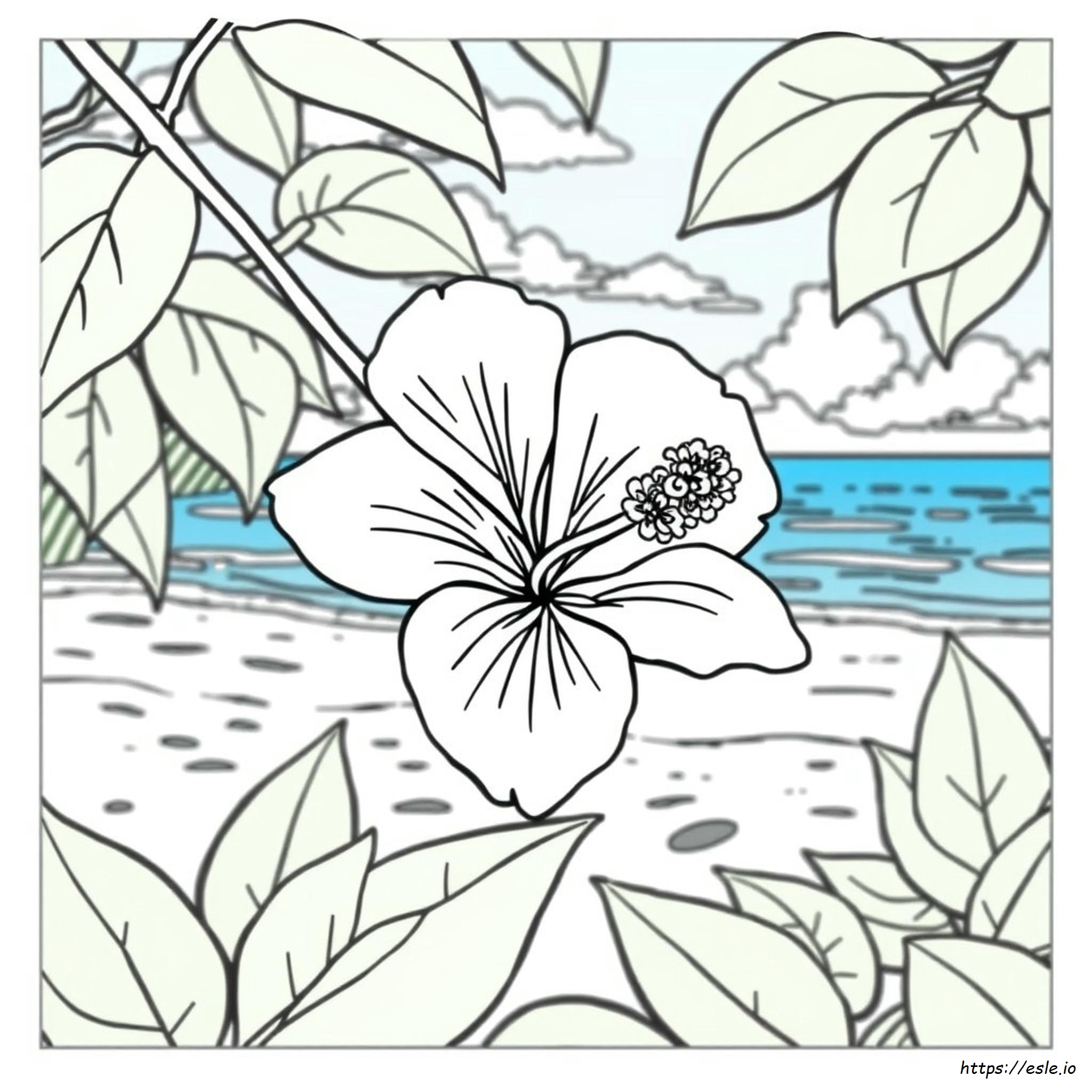 Hawaiian Flower Hibiscus Coloring Pages
