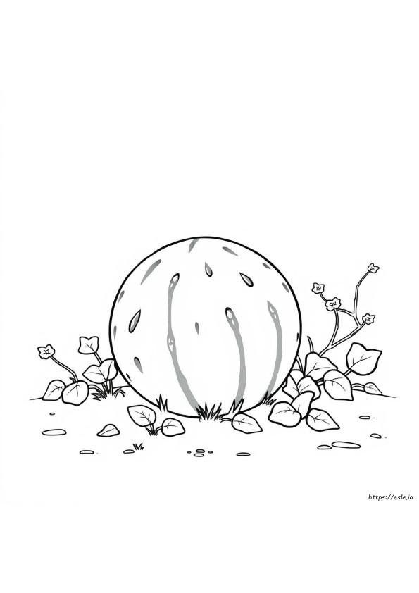 Water Melon Coloring Pages