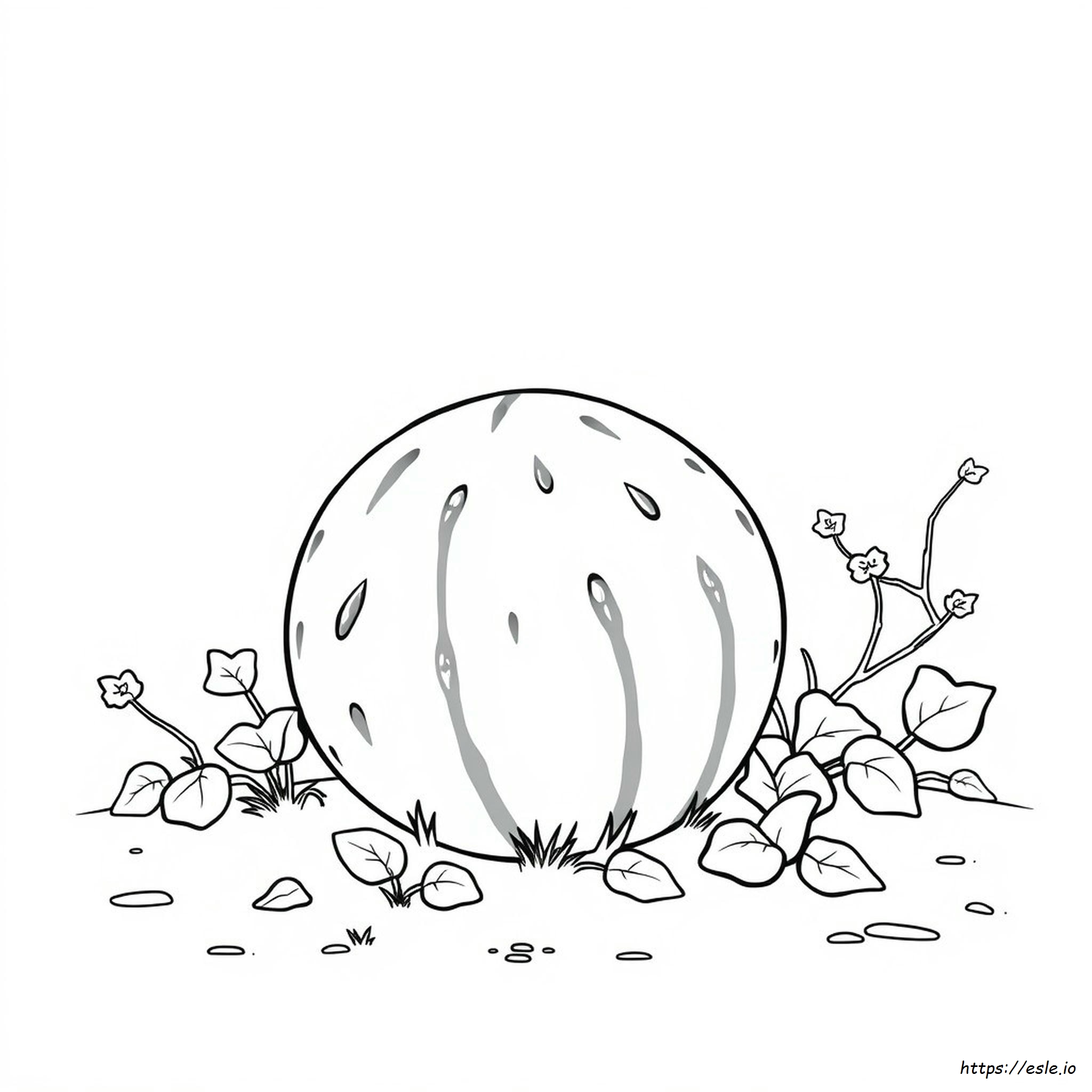 Water Melon Coloring Pages