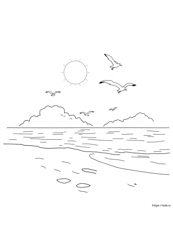 Sunny Day Colouring Pages