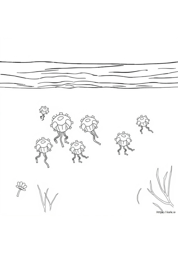 Gambar Mewarnai Fitoplankton