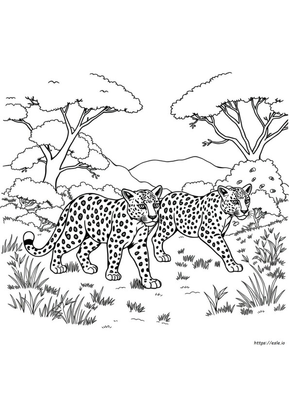 Leopard Coloring Pages For Adults