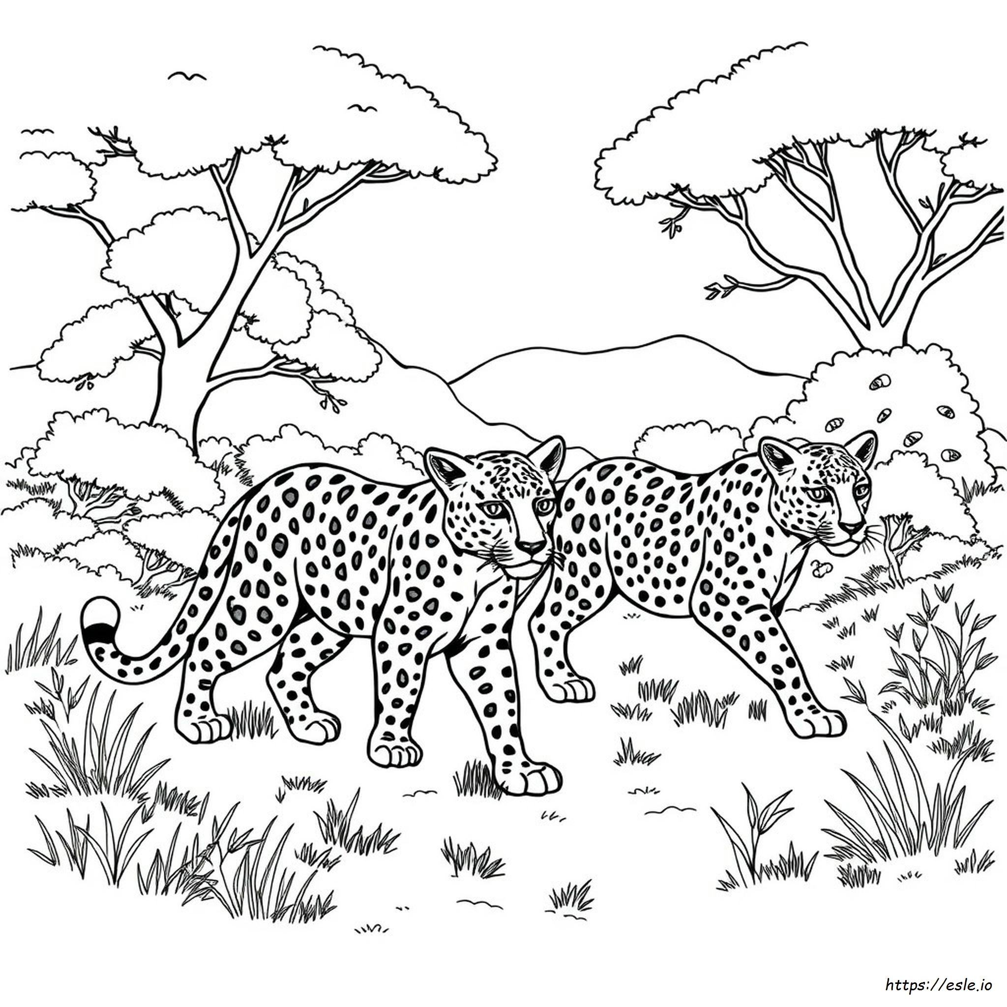 Leopard Coloring Pages For Adults