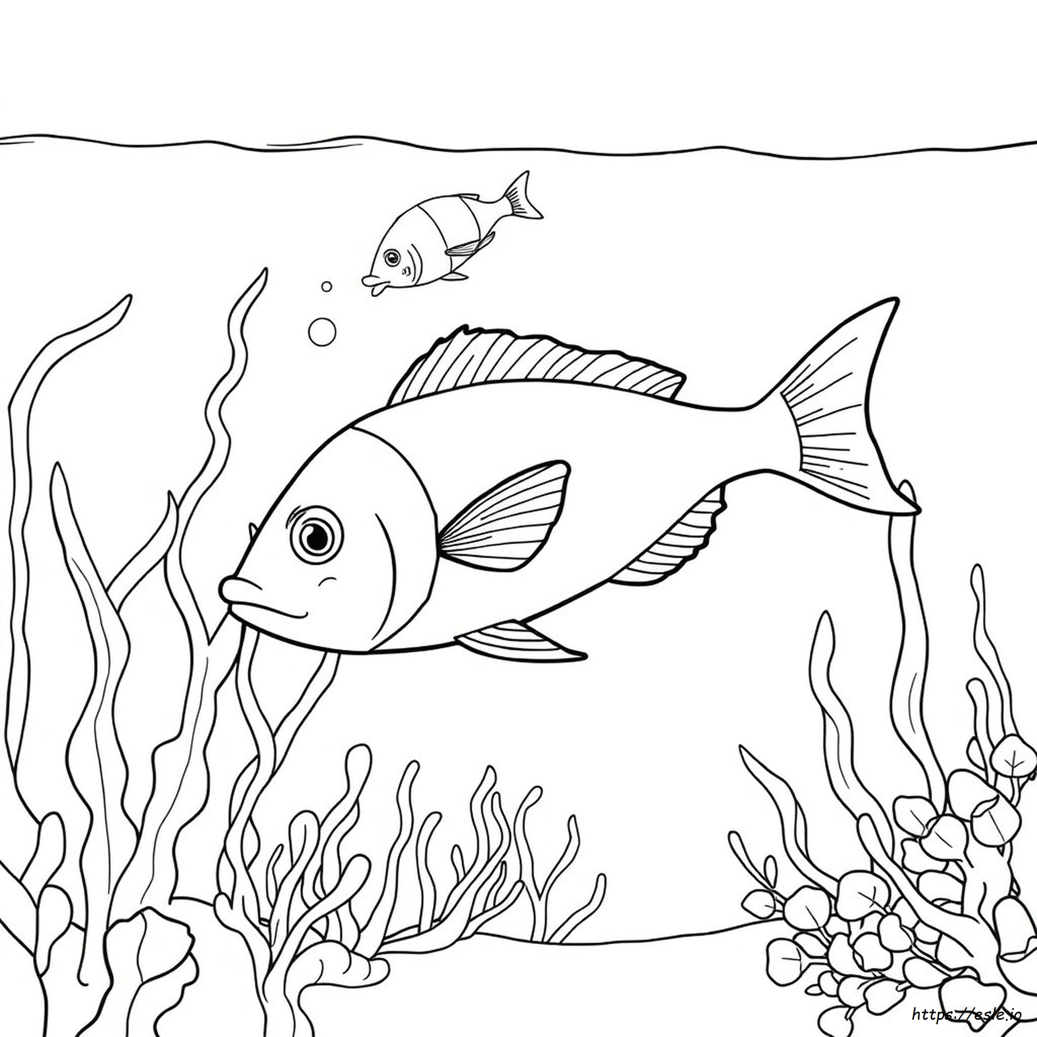 Disegni Da Colorare Di Pesci