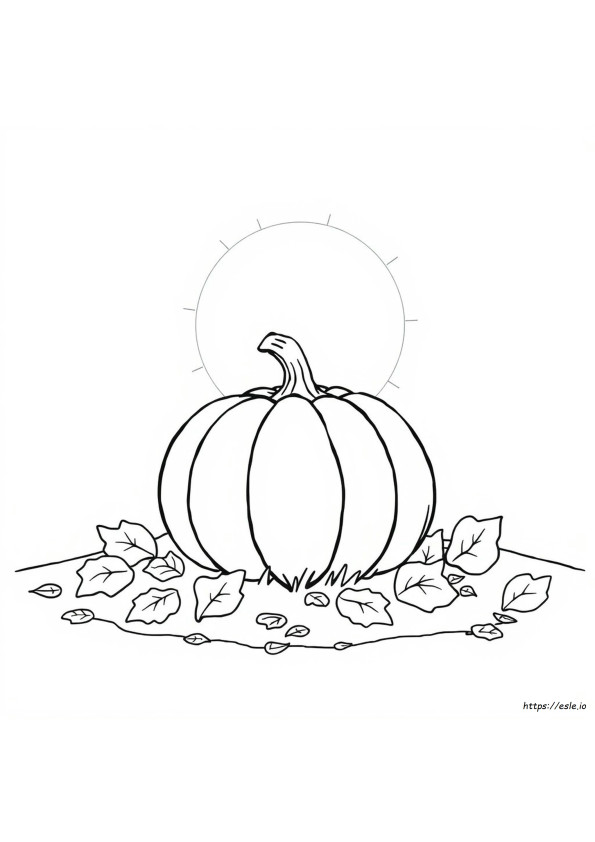 Coloriage Citrouille