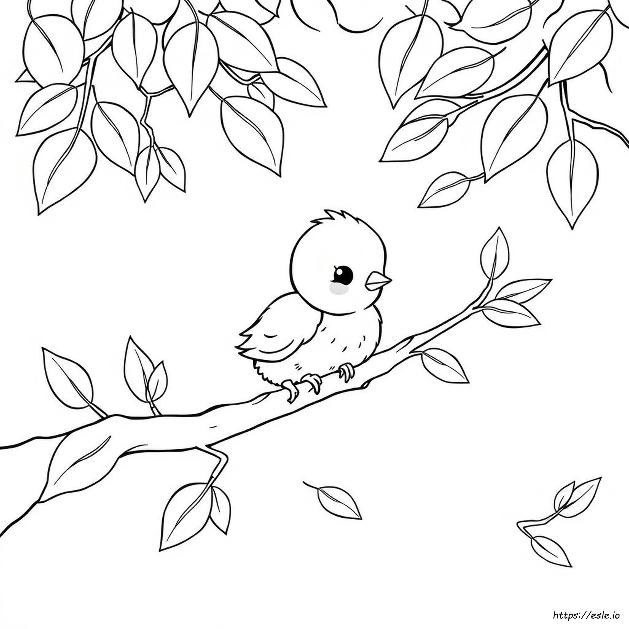Cute Chick Coloring Pages