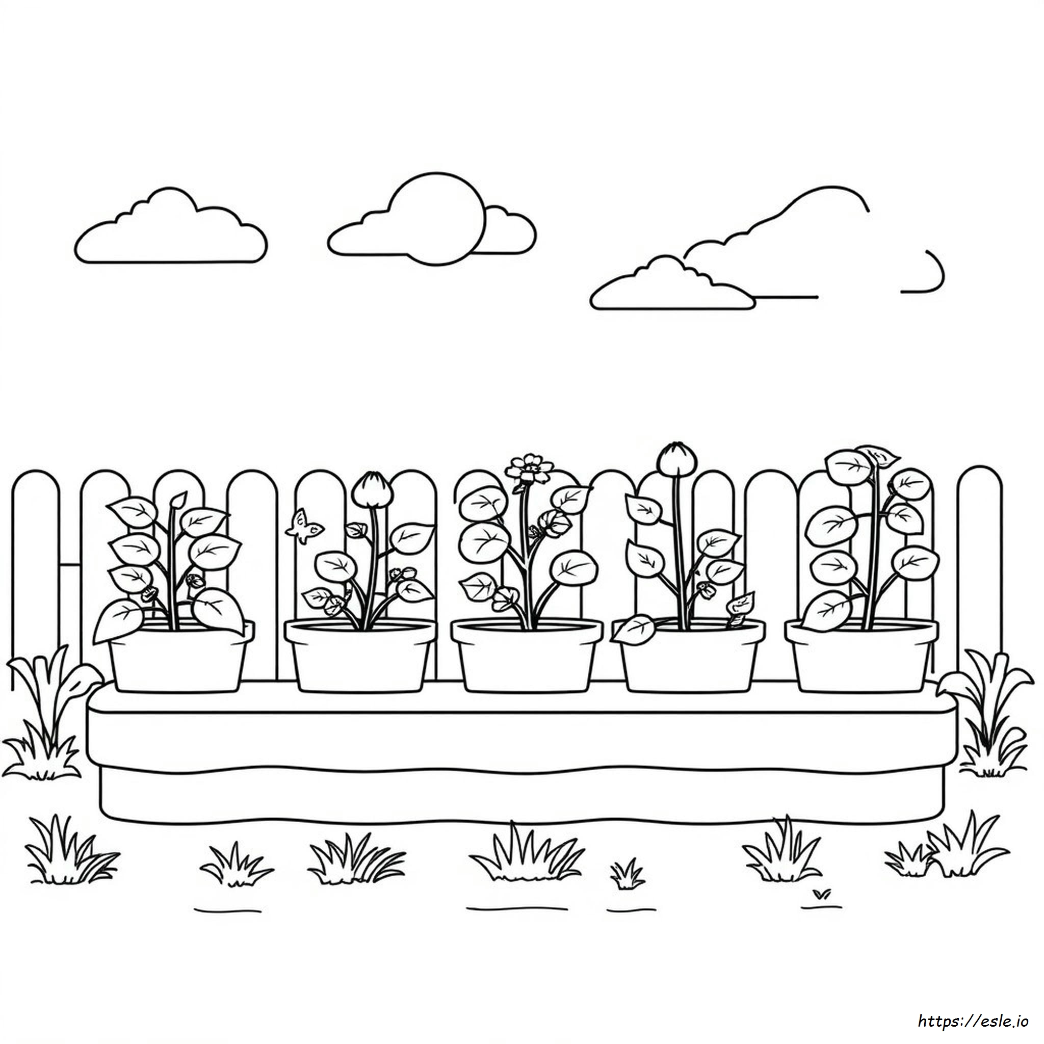 Printable Vegetable Garden Coloring Pages