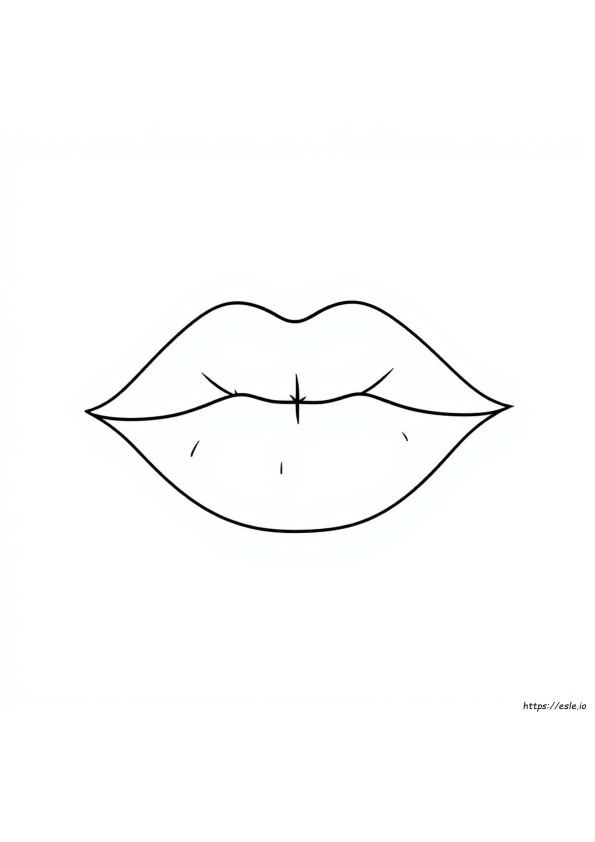 Cara Mewarnai Bibir Procreate