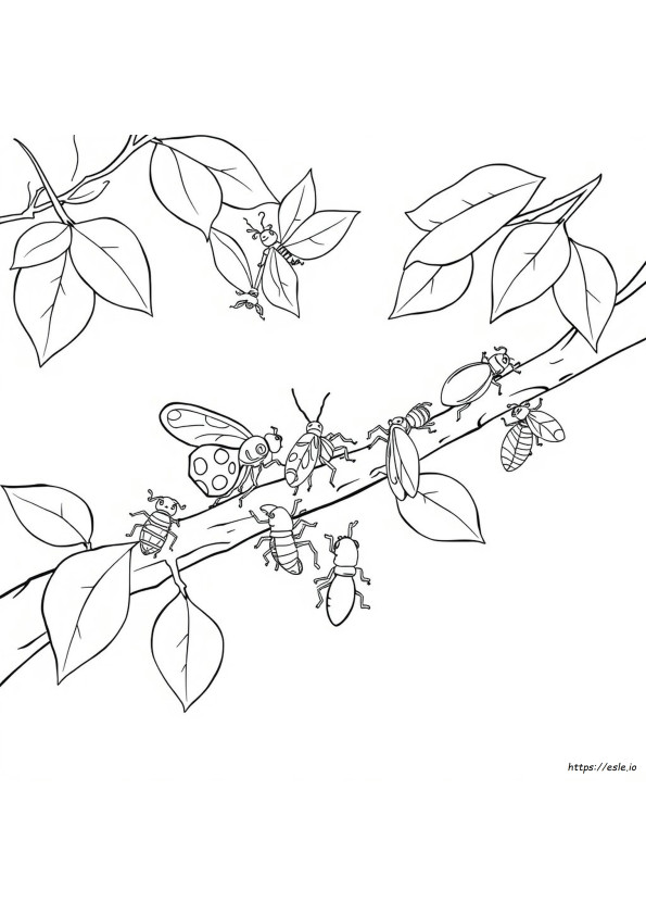 Disegni Da Colorare Di Insetti