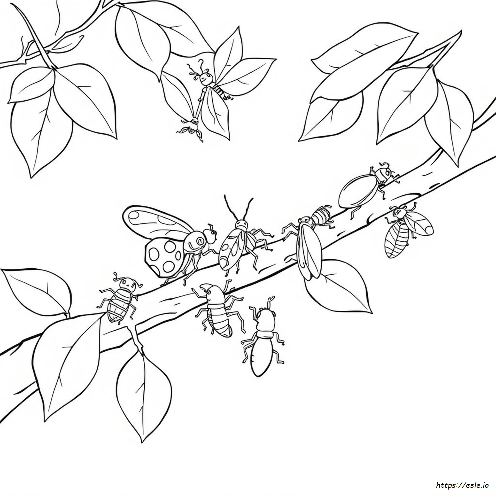 Dibujos De Insectos Para Colorear