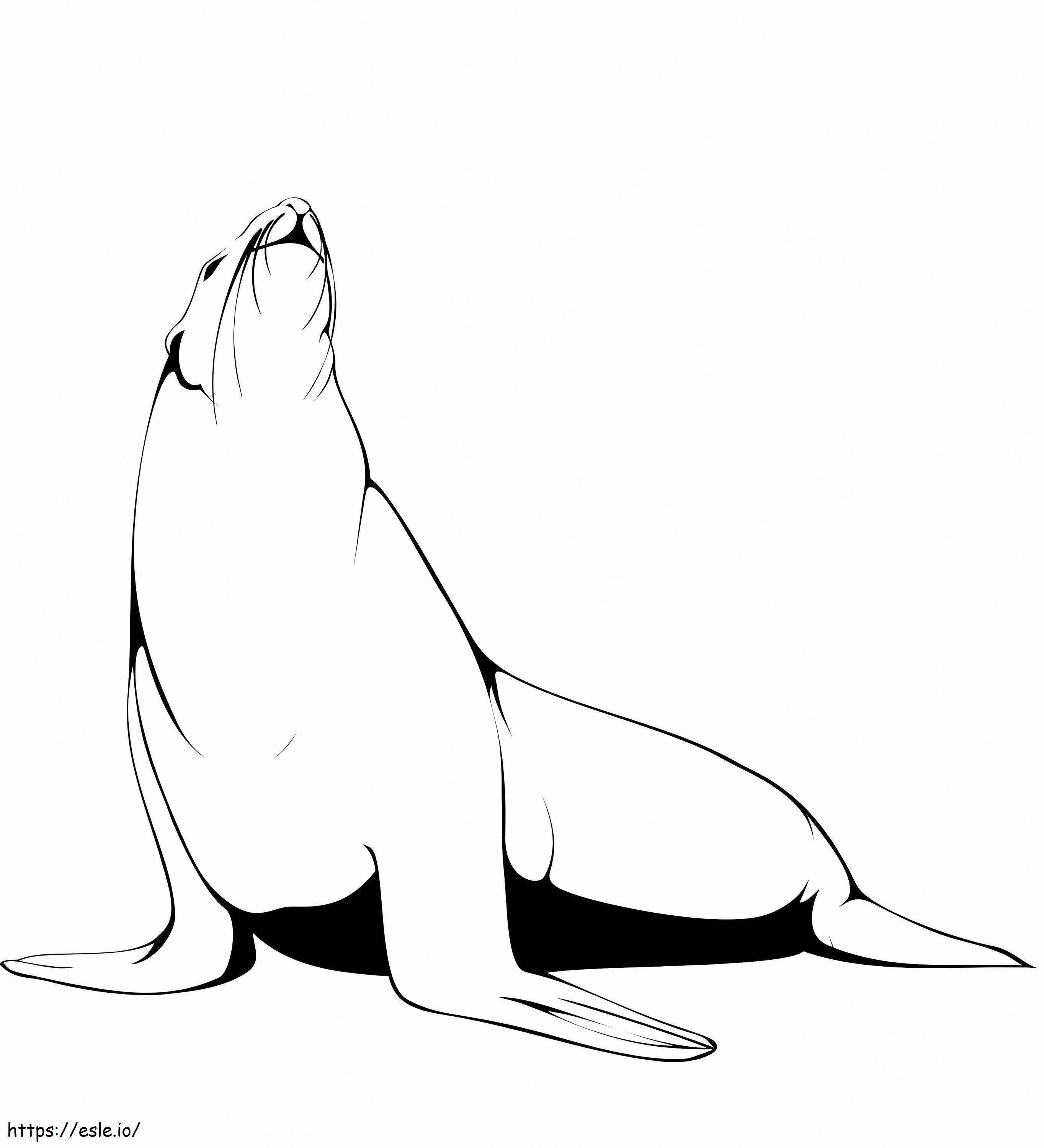 Lobo-marinho normal para colorir