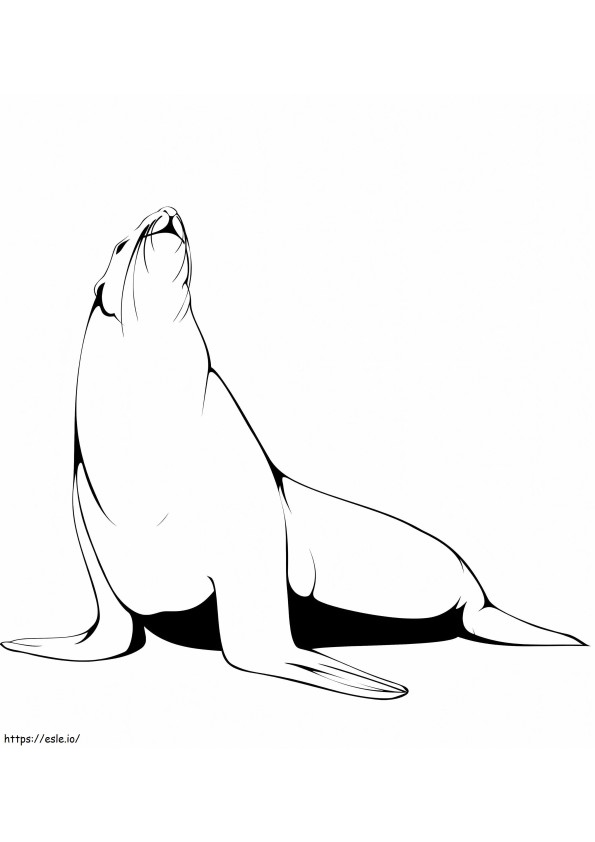 lobo marino normal para colorear