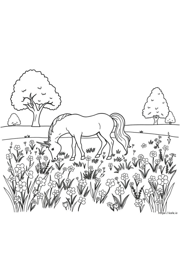 Coloring Pages Dibujos De Unicornios Para Colorear