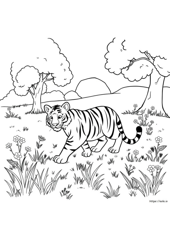 Tigre Cartone Animato Da Colorare