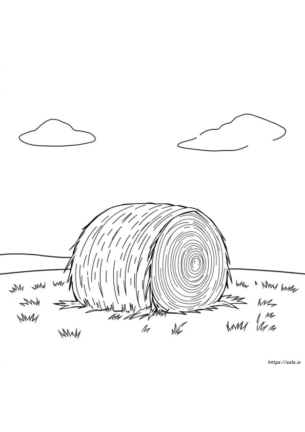 Heinäpaali Värityskuva