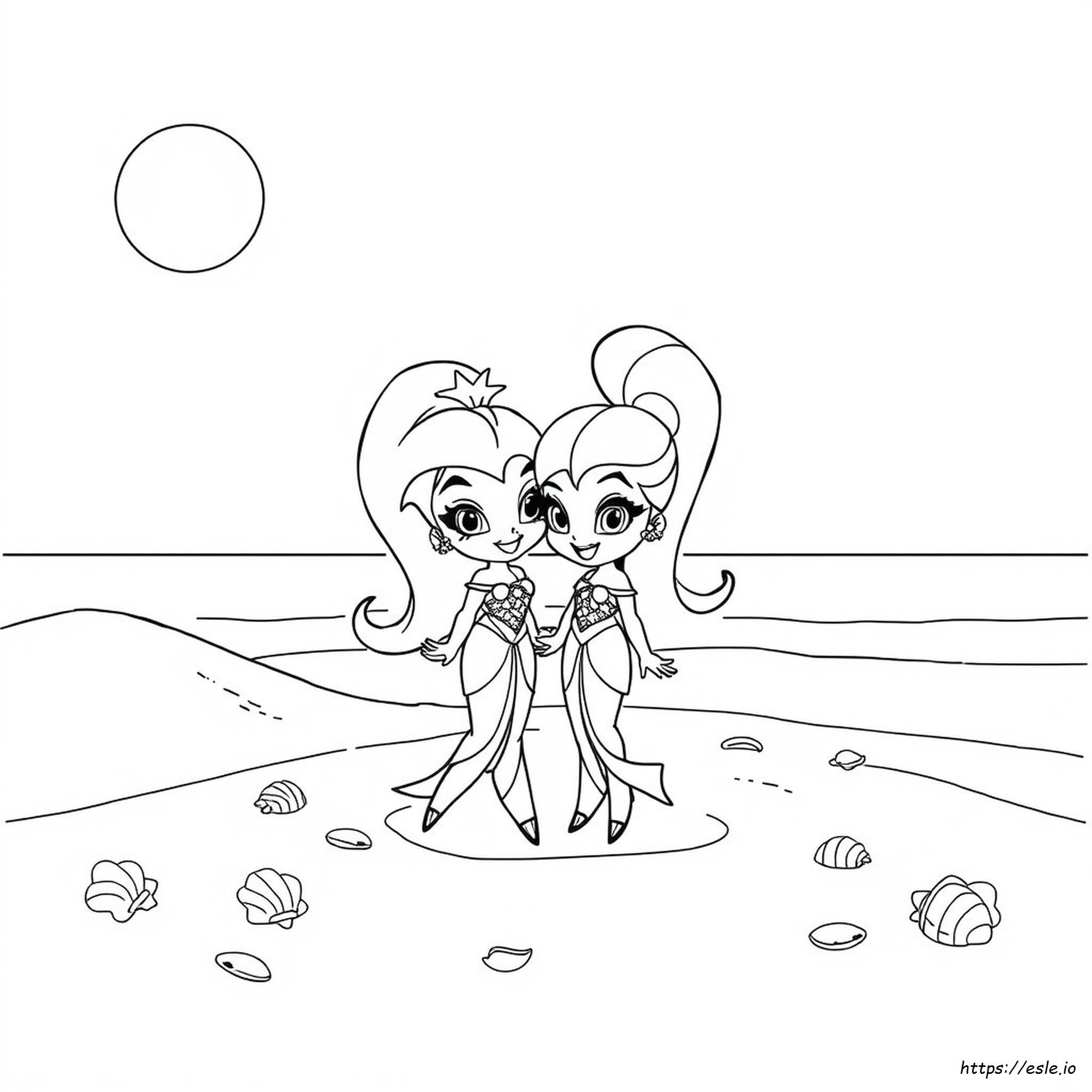 Shimmer Ve Shine Boyama Kitabı