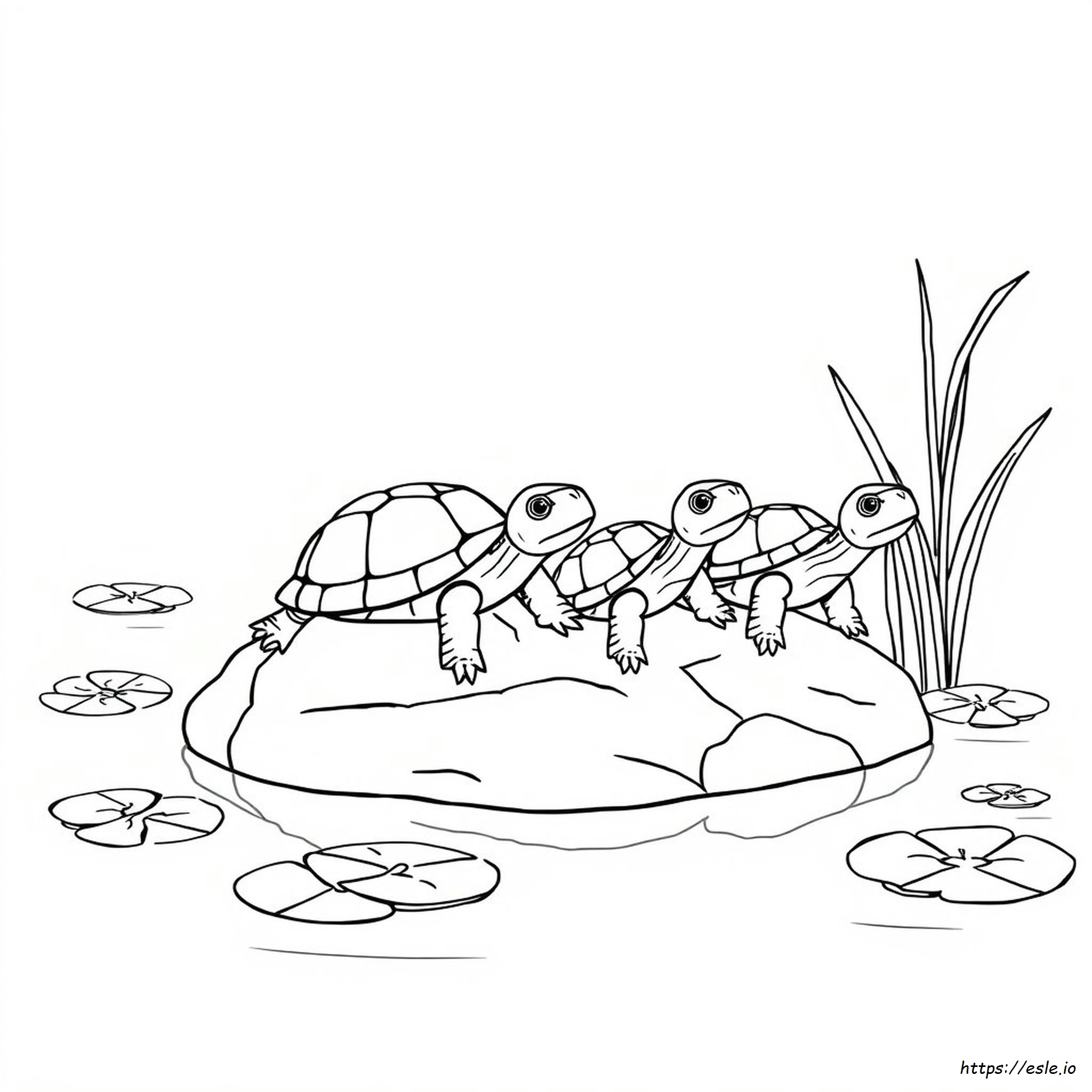Coloring Page Of Turtles