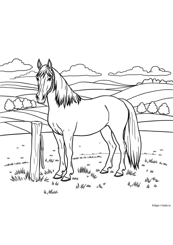 Gambar Mewarnai Kuda Friesian Realistis