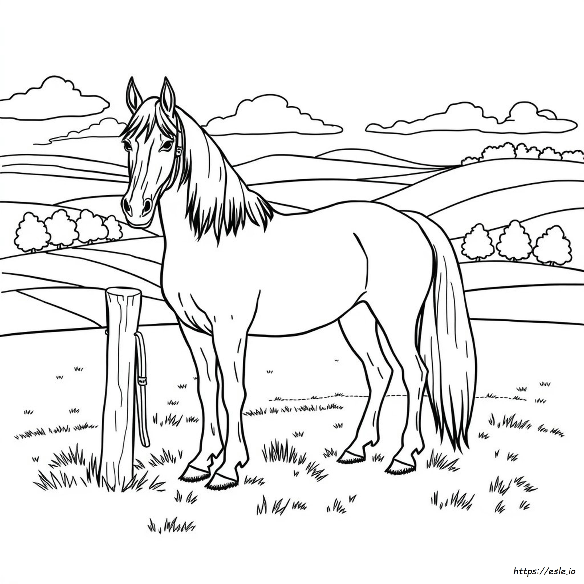 Realistic Friesian Coloring Pages