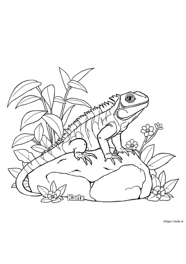 Iguana Para Colorir