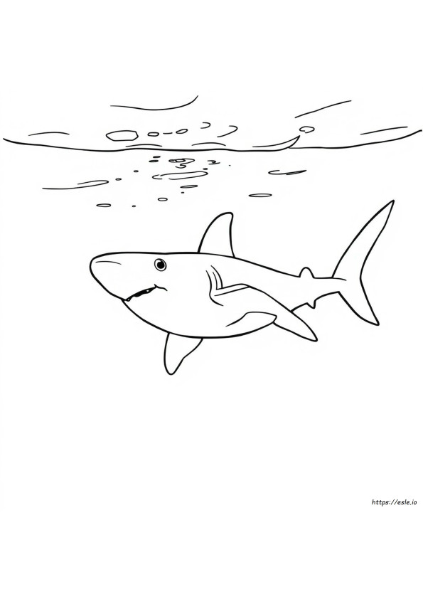 Tiburón Para Colorear