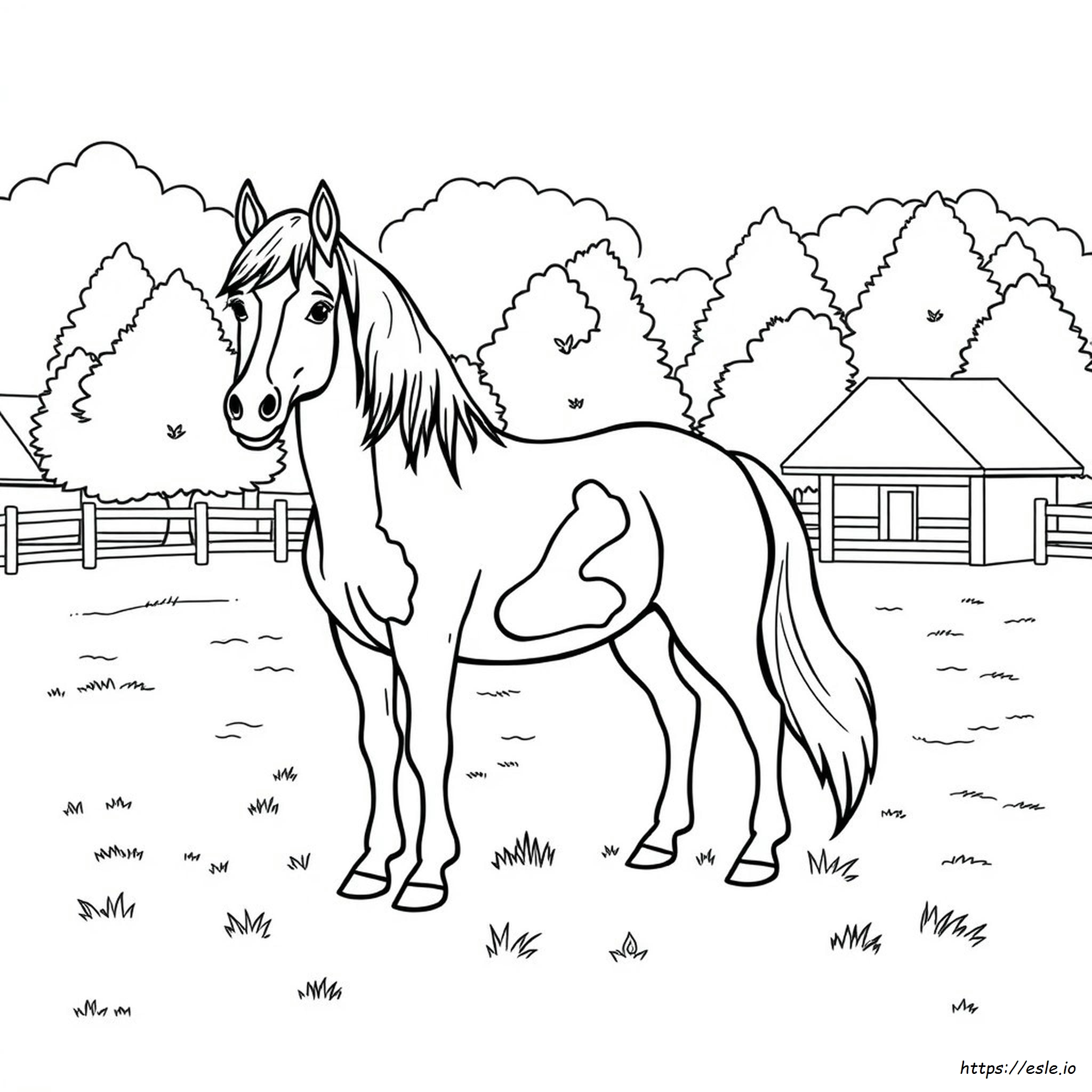 Cavallo Pinto Disegni Da Colorare
