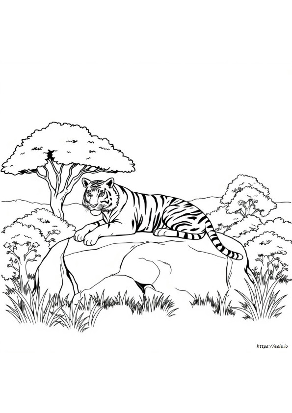 Tigre Da Colorare E Stampare