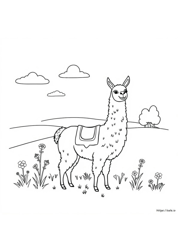 Lhama Para Colorir