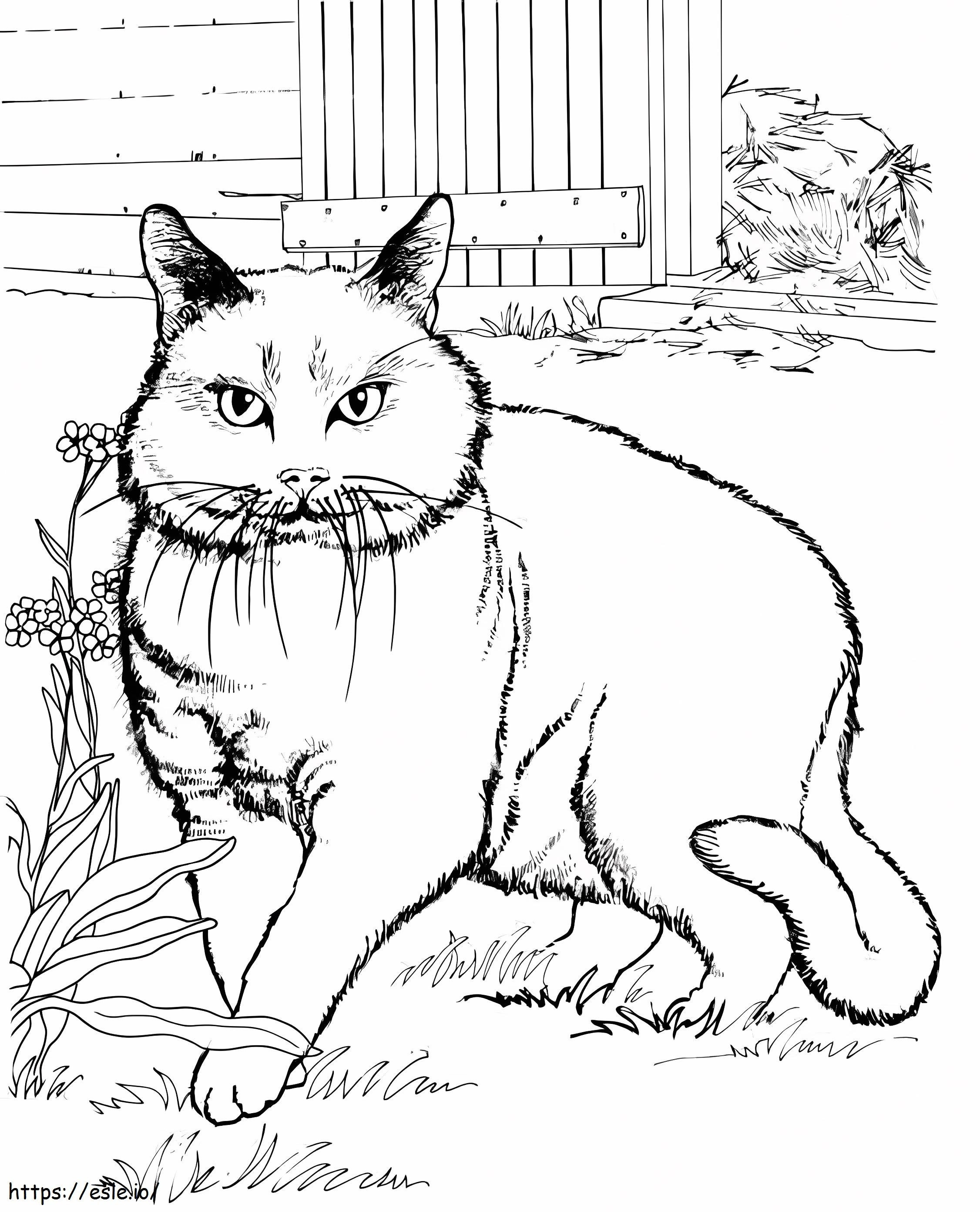 Coloriage Gros chat à imprimer dessin