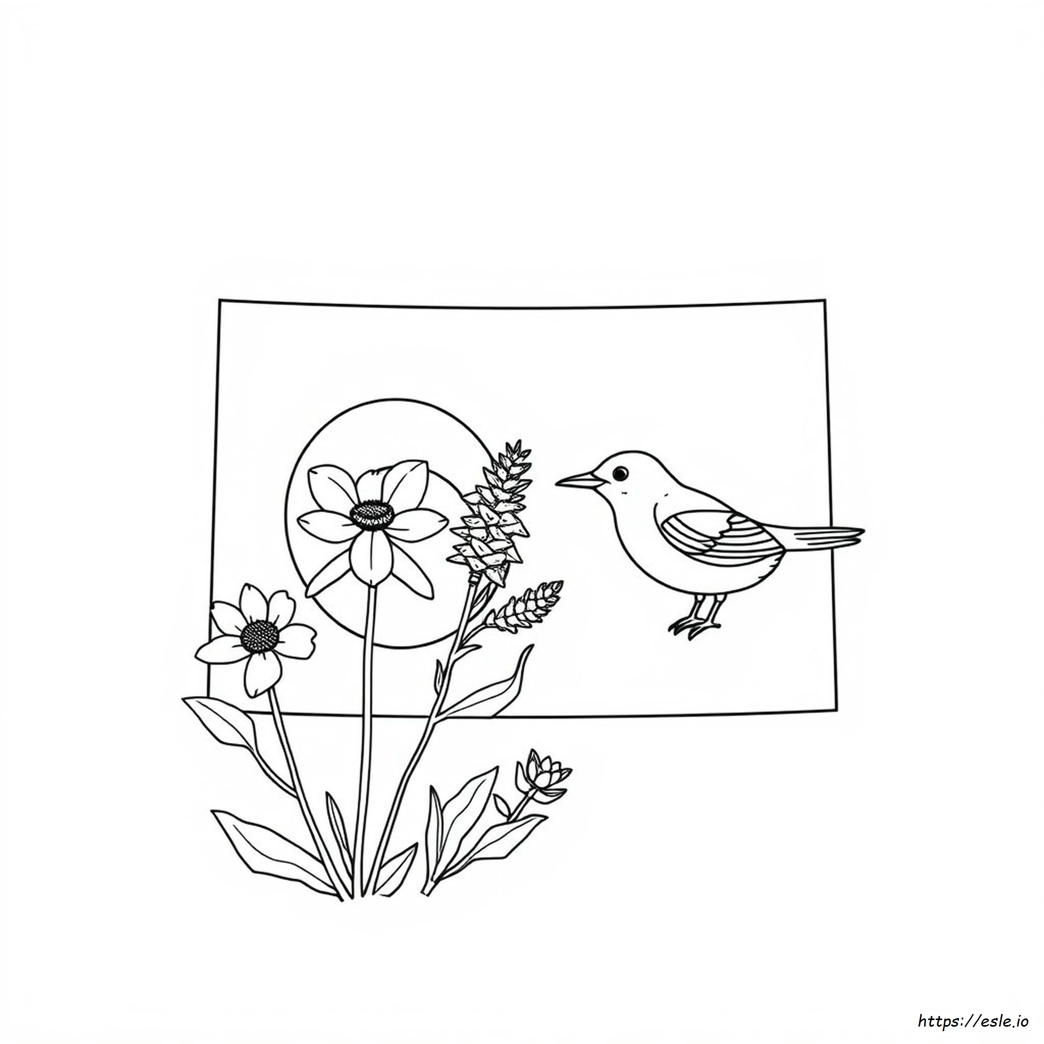 Printable Colorado Coloring Pages