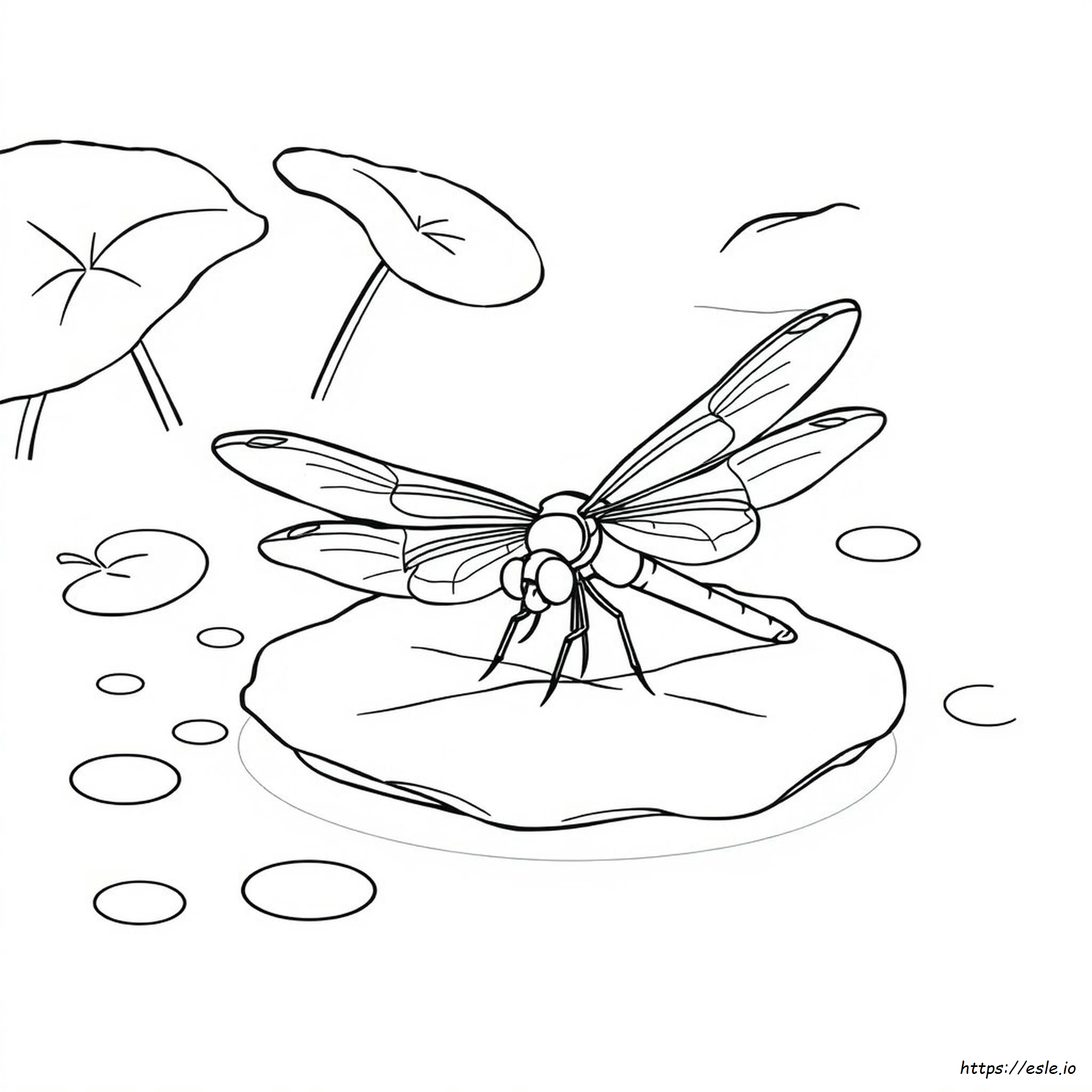 Dragonfly Colouring Picture