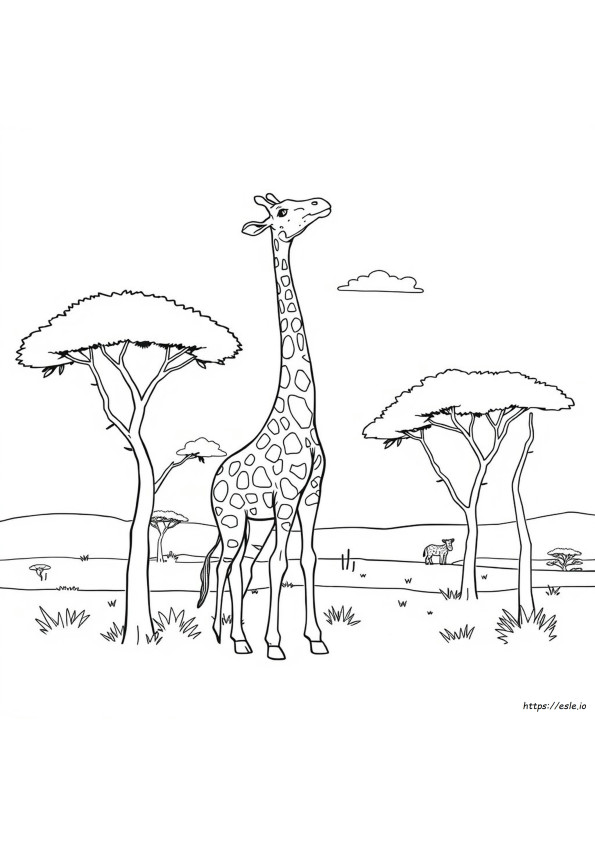 Giraffe Omtrek Om In Te Kleuren