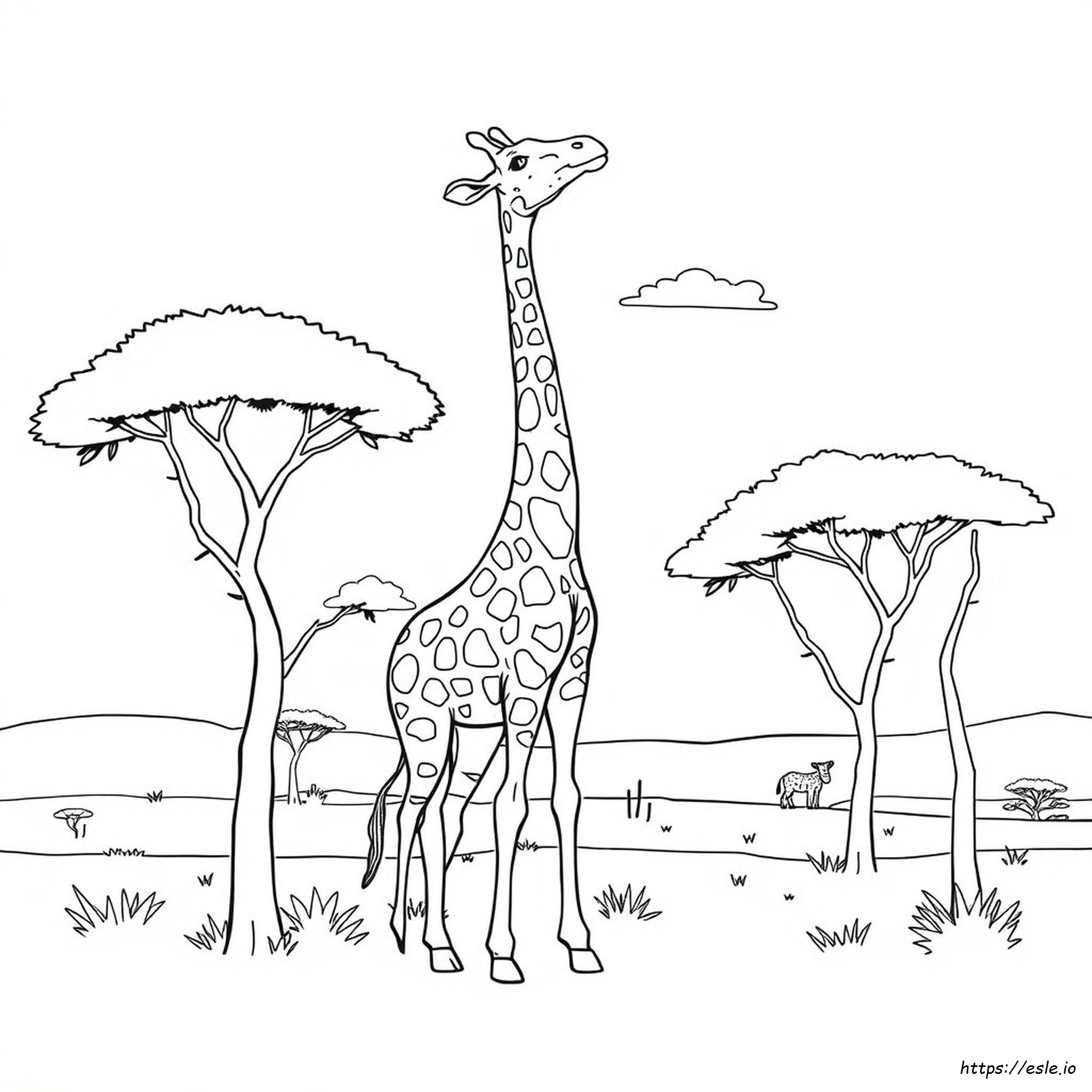 Giraffe Outline For Colouring