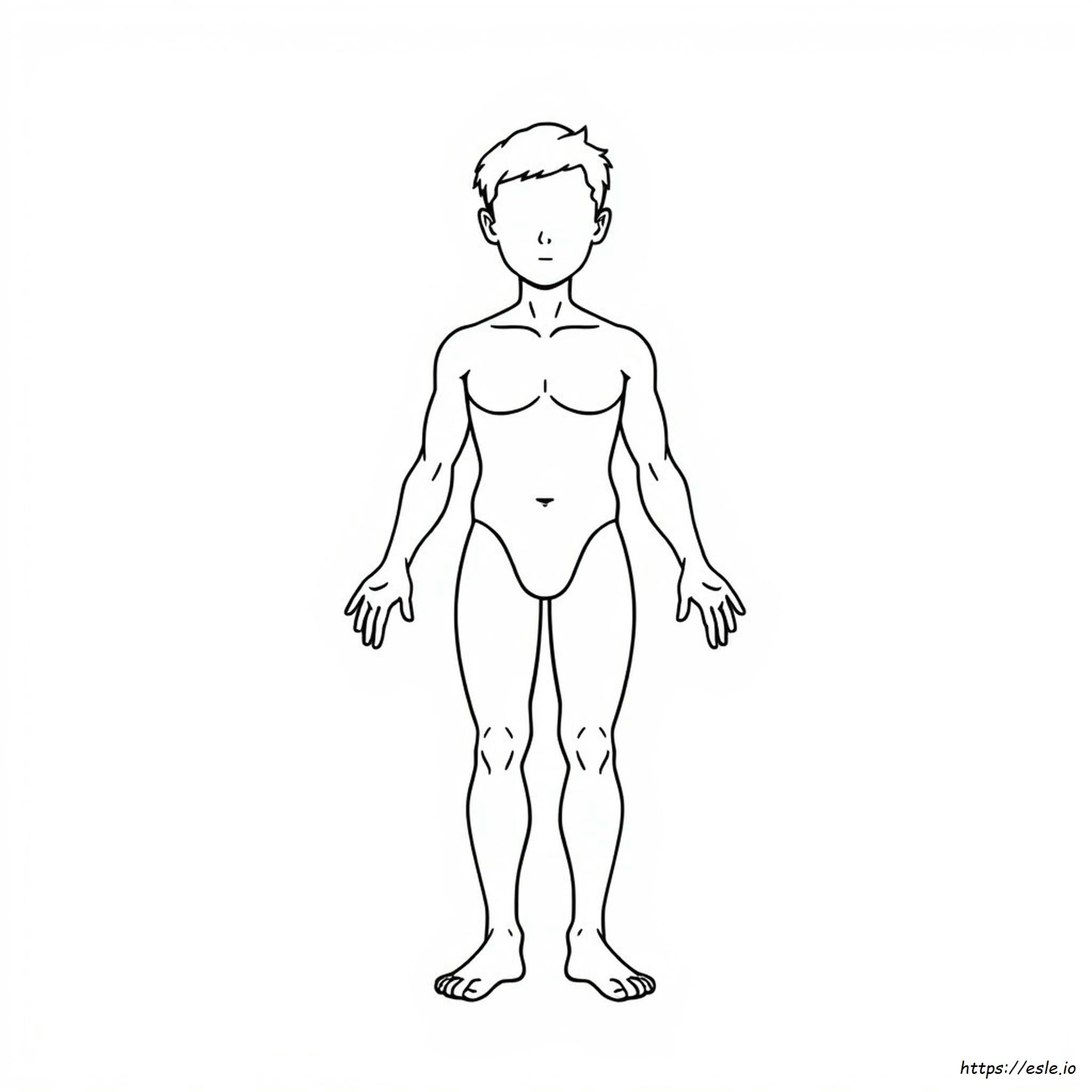 Il Mio Corpo Disegni Da Colorare