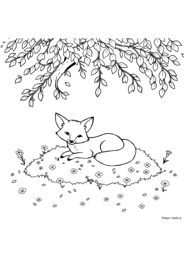 Filhote De Raposa Para Colorir
