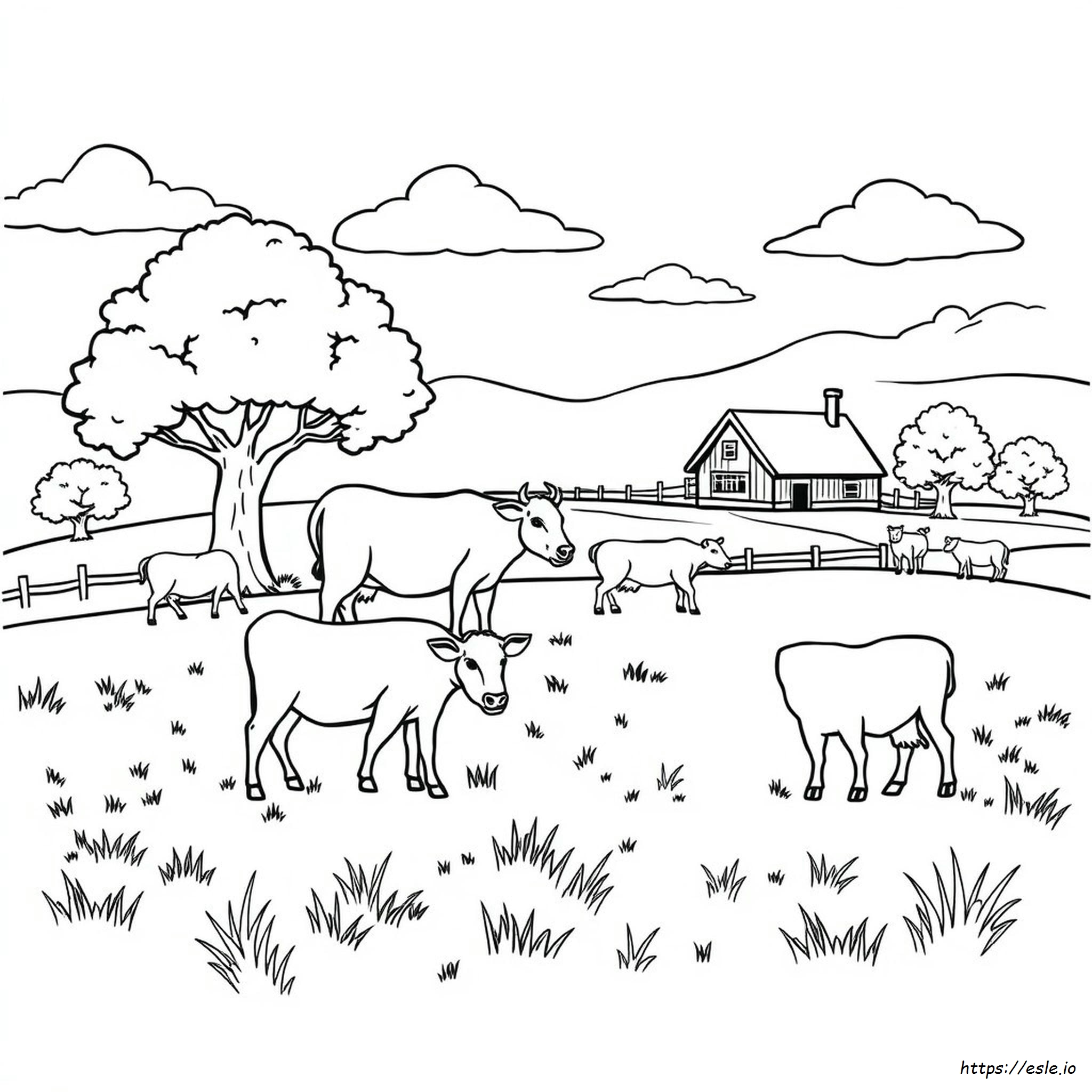 Printable Realistic Farm Animal Coloring Pages