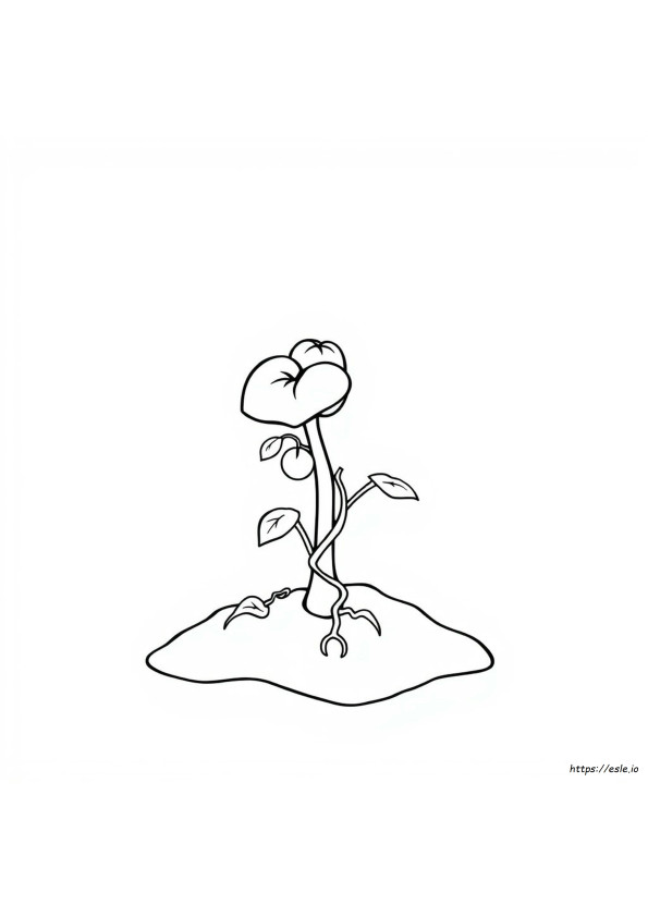 Bellsprout Halaman Mewarnai